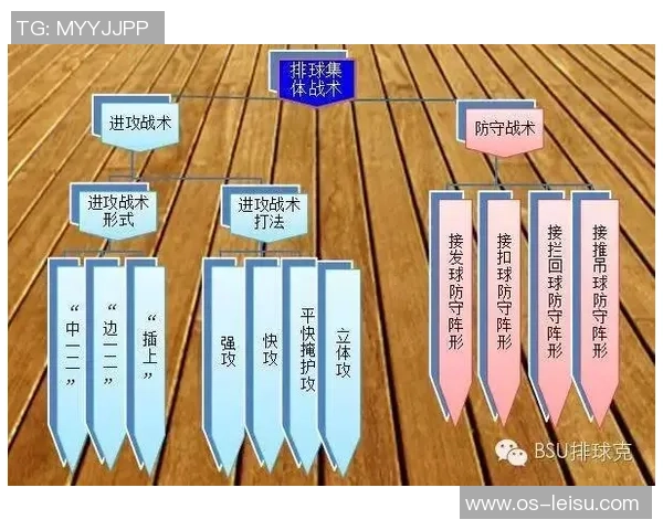 上海排球队的战术变革与球员角色转换全解析 上海排球队的战术变革与球员角色转换全解析